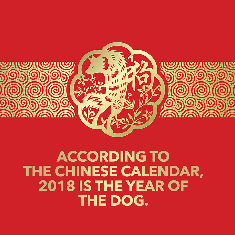 Year of the Dog